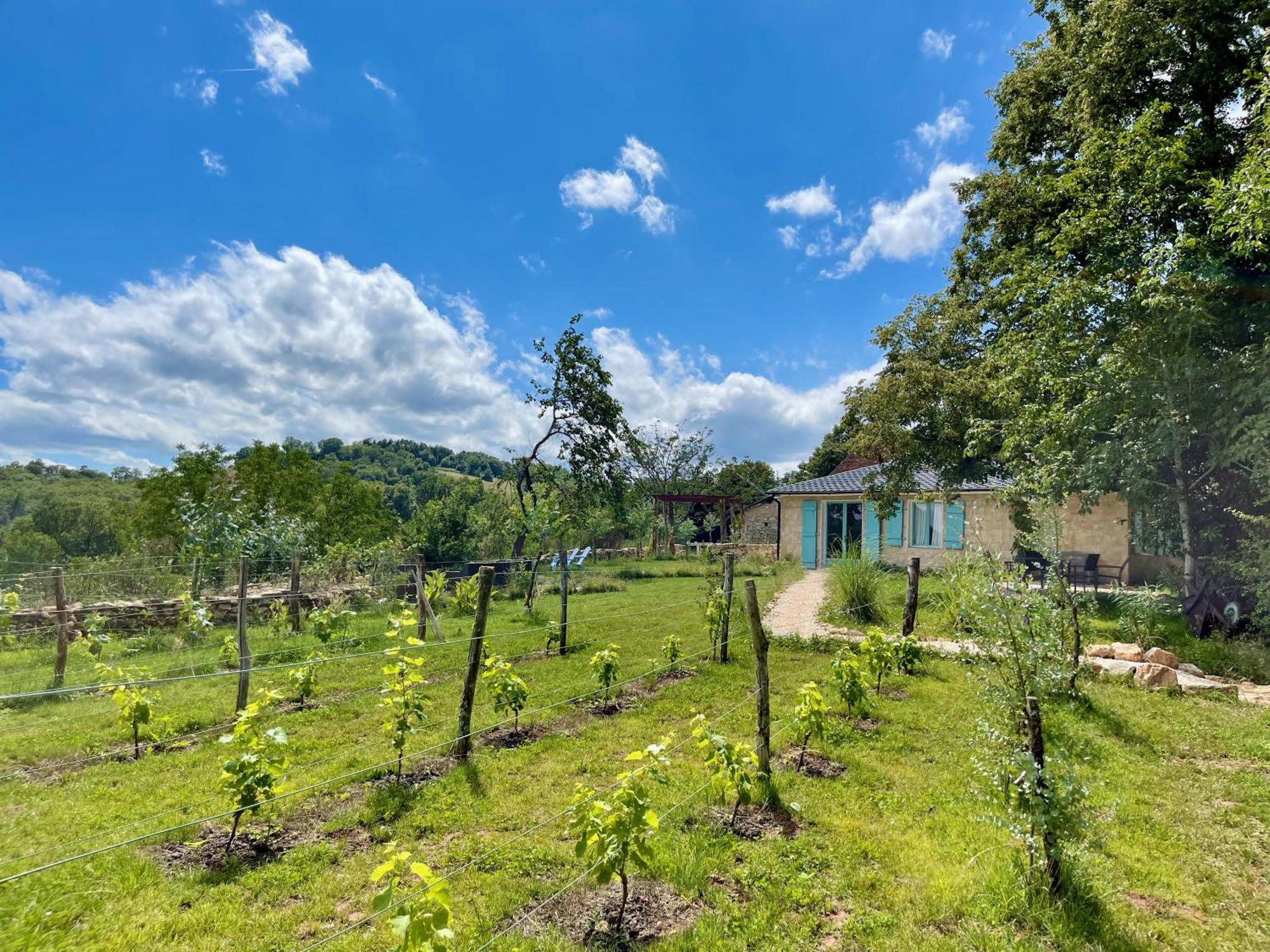 La Belle Petite Ferme Rosiers De Julliac 19350 Villa Le Bos Exterior photo